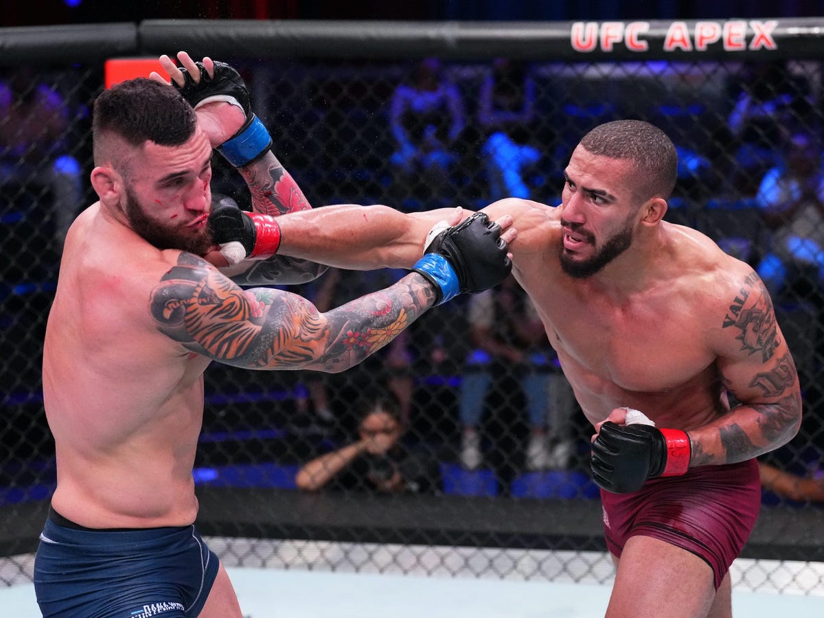 Meet the Bonfim Brothers: UFC Fighters Dominating the MMA Scene