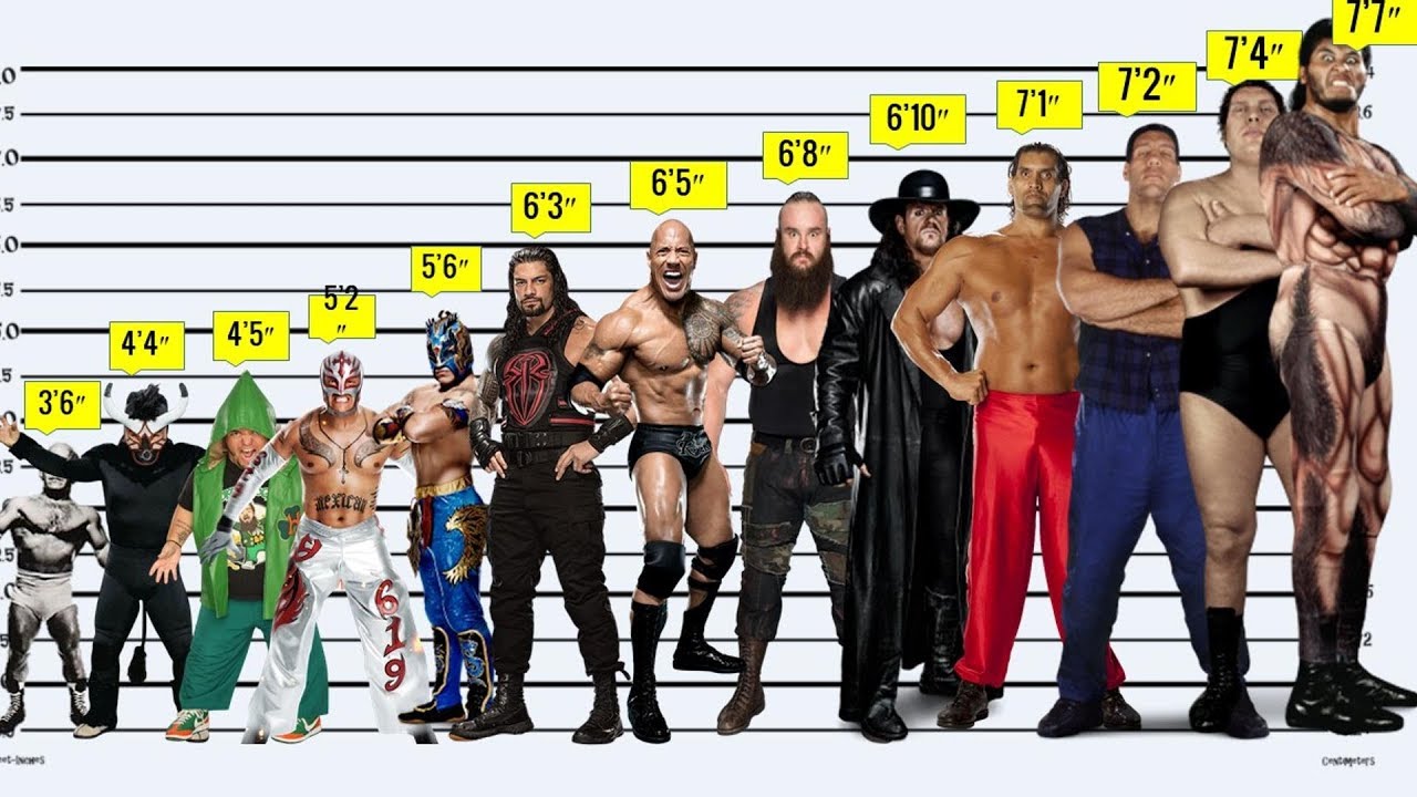 WWE Shortest Wrestlers: How Tall Are They? (You Wont Believe How Short Some of Them Are)