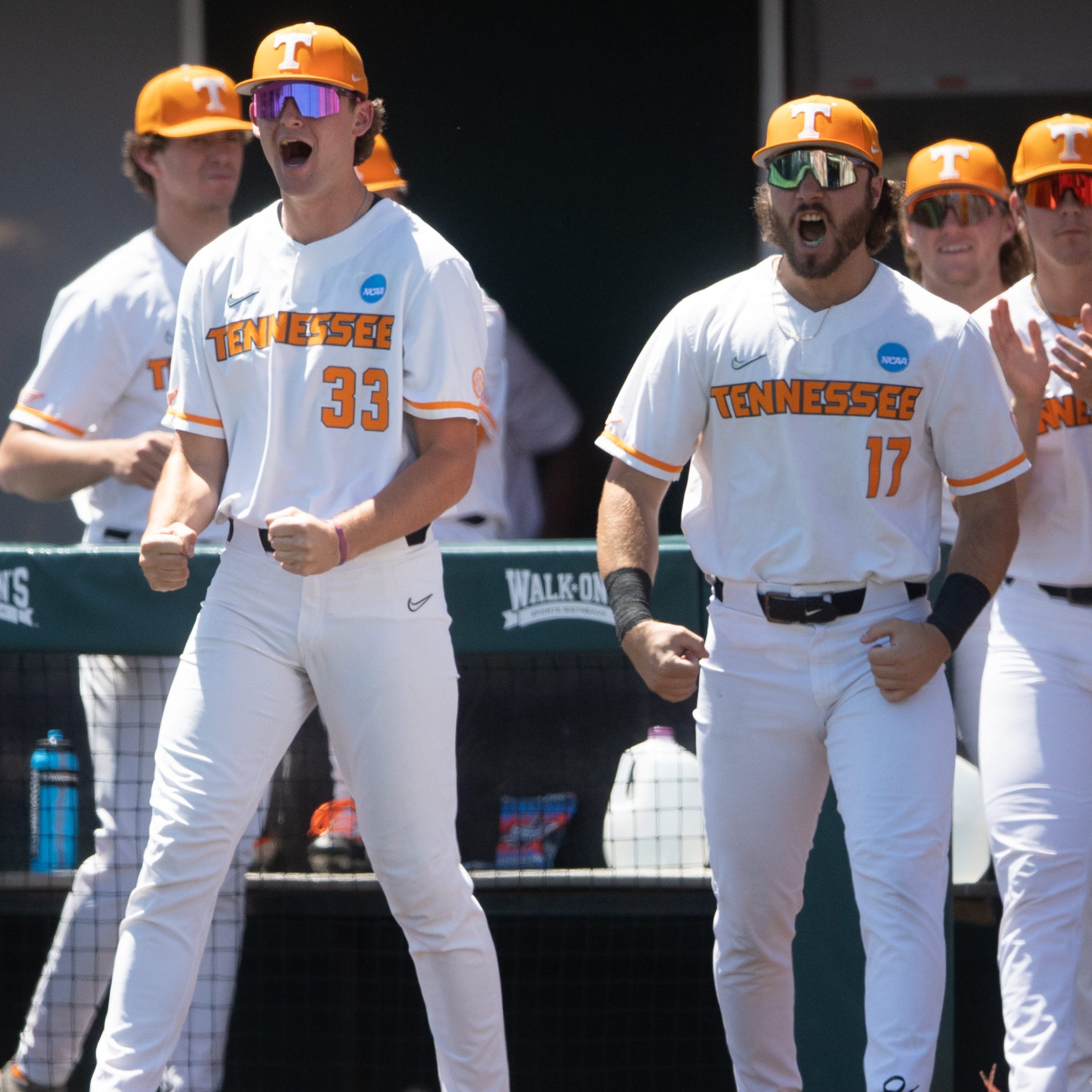 Curious About Who Won 2015 College World Series? It Was This ACC Team!