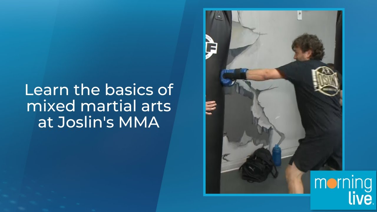 What is seldin mma? Learn The Basics of This Fighting Style Now!