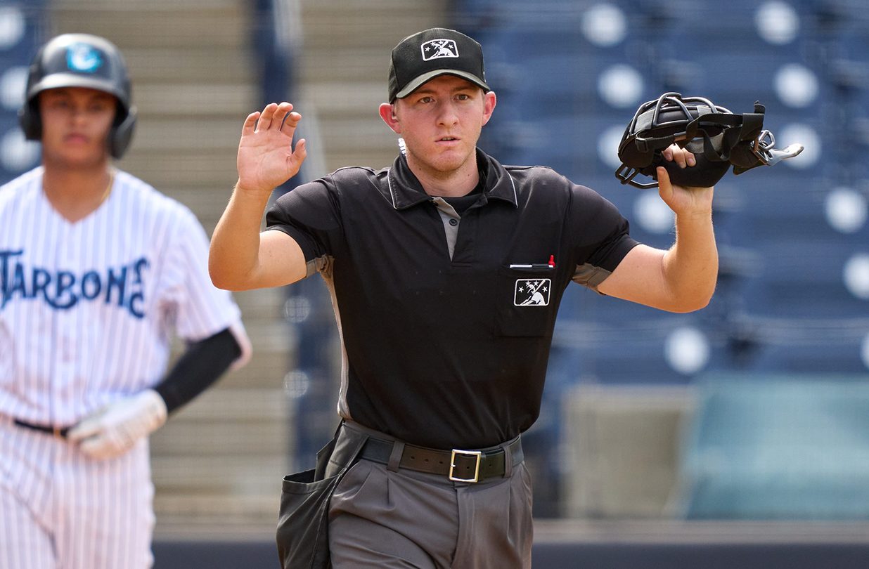 mlb umpire pay: Is it a good career? (Pros and cons of being a baseball umpire)