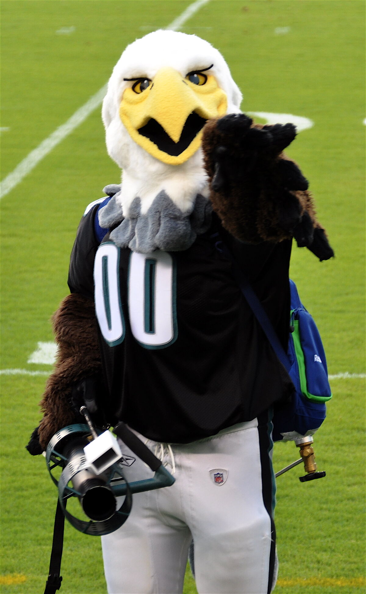 Swoop Eagles Mascot:The story behind (Cheer on Philly with Swoop!)