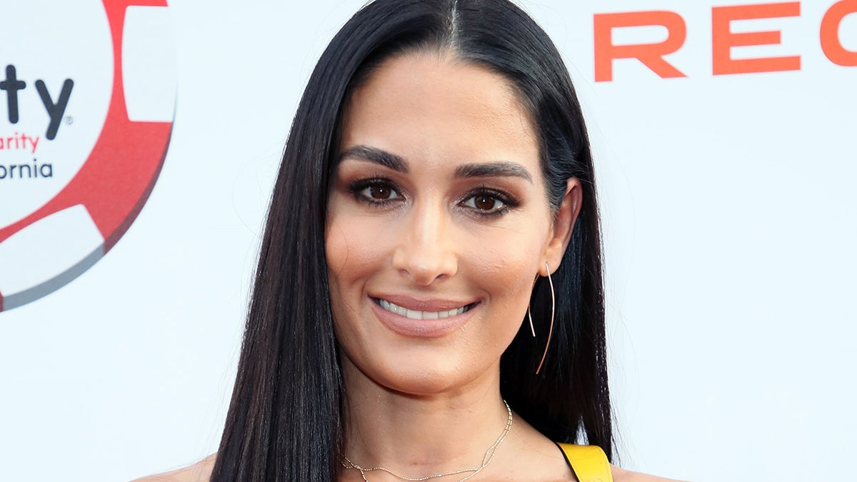 Inside Nikki Bella Net Worth, Her Businesses,Endorsement and Earnings!