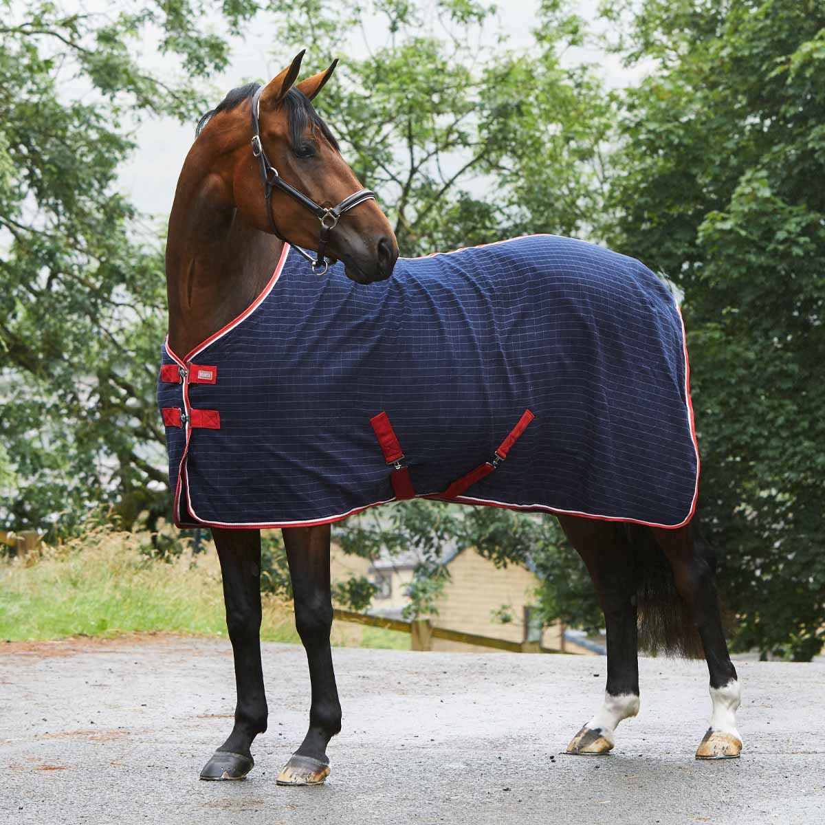 Get Harry Hall discounts! Great choice of quality equestrian products for you.