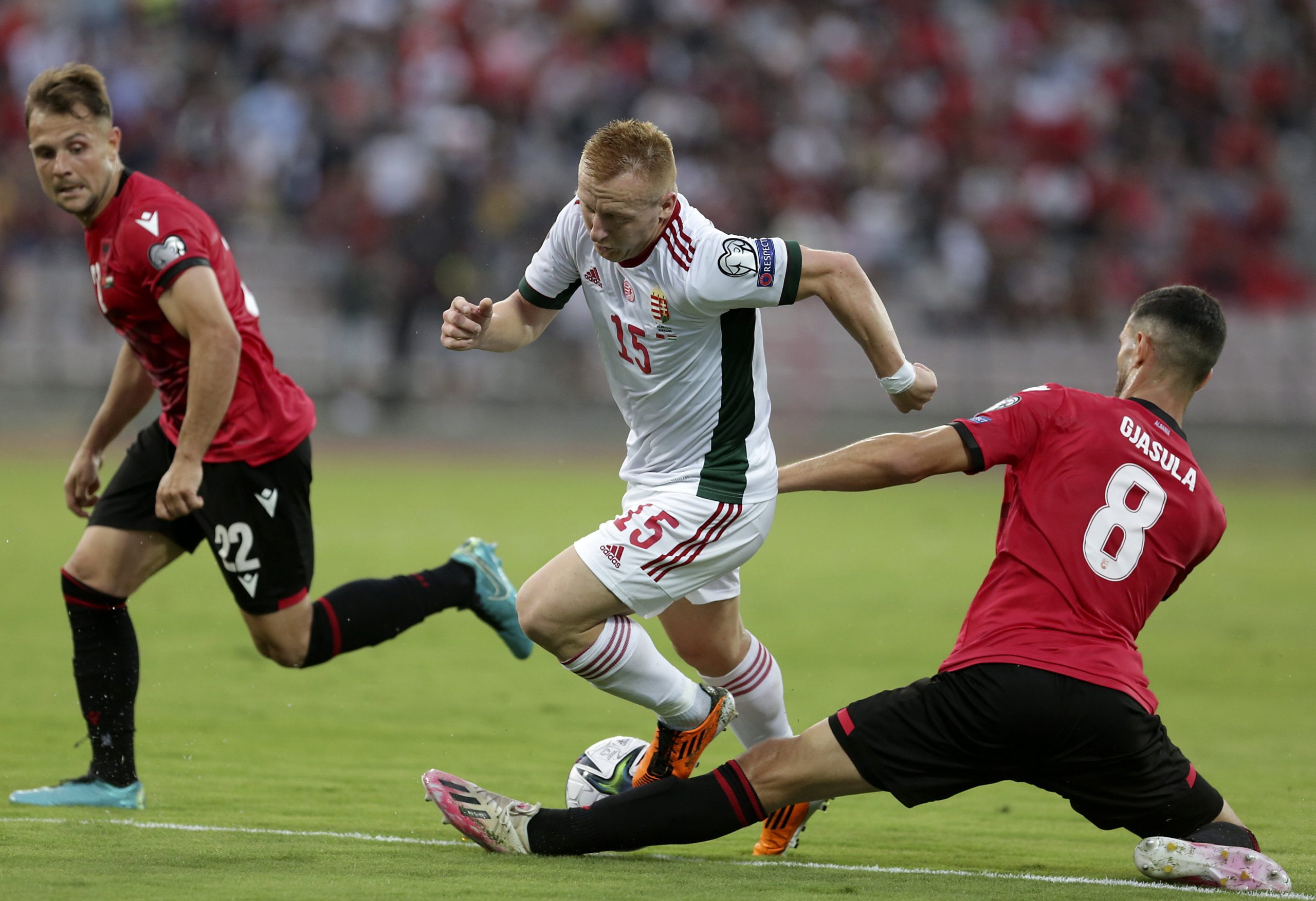 Hungary vs Albania Predicit: Latest Team News, Odds Compared